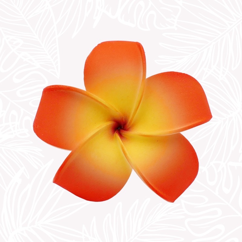 Orange Frangipani Blumen Haar