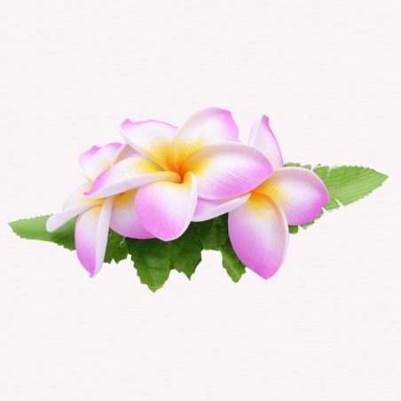 Pinza para el cabello con flores de frangipani en rosa y blanco.