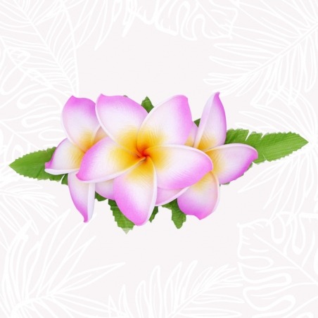 Pinza para el cabello con flores de frangipani en rosa y blanco.