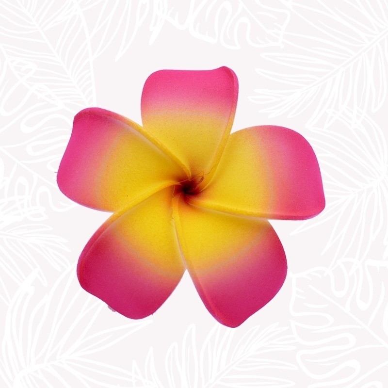 Geschenk - Haarblume Frangipani Pink