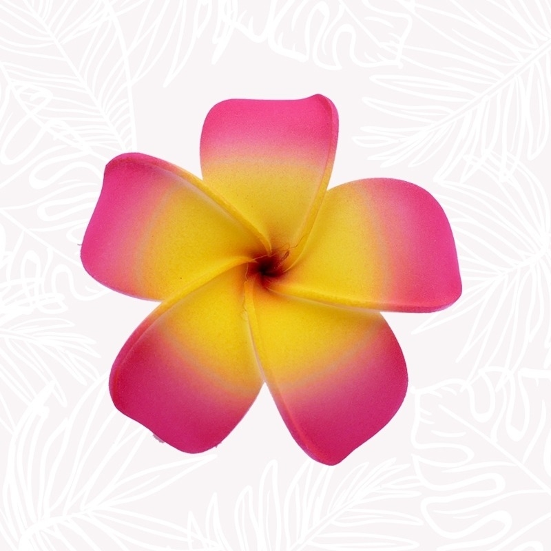 Regalo - Flor para el cabello de...