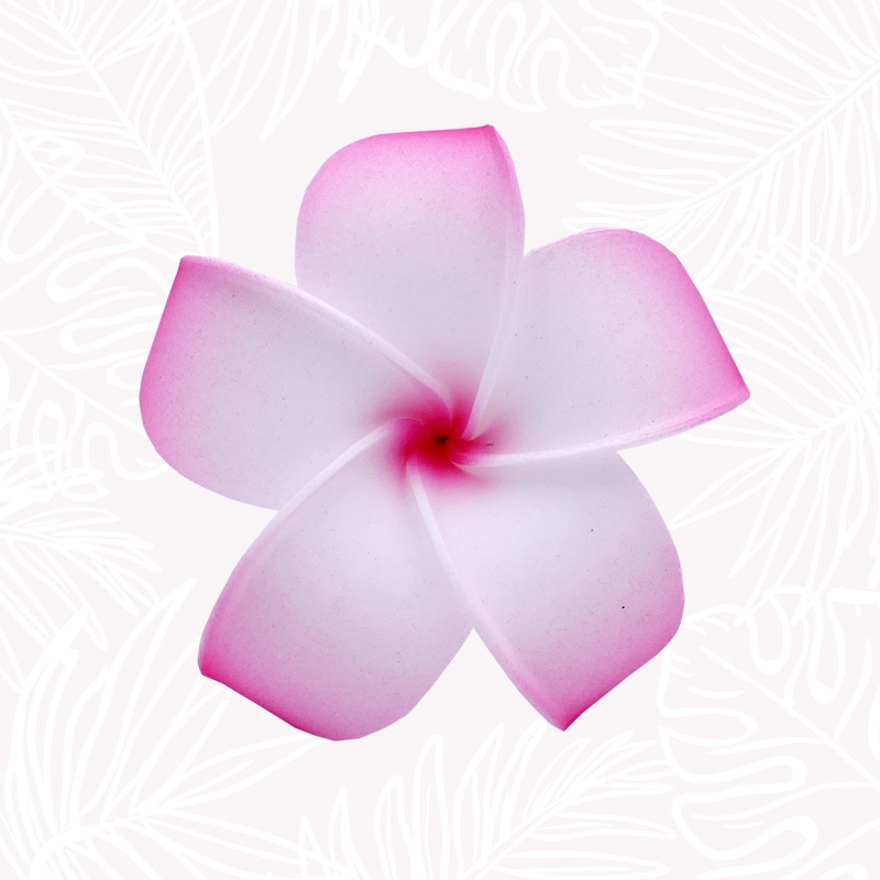 Flor de Frangipani Rosa y Blanca