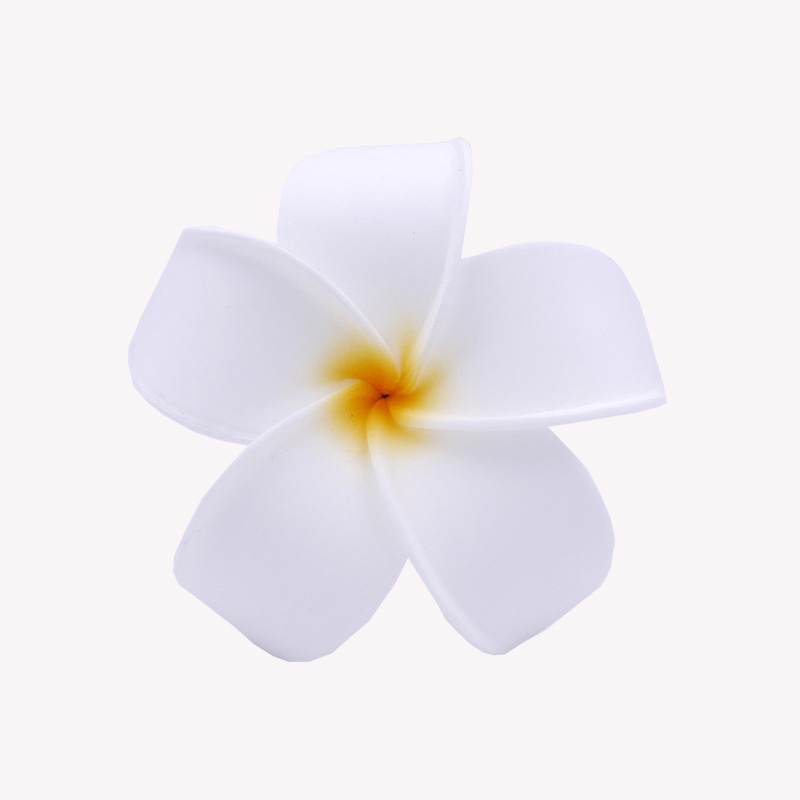 Weiße Frangipani-Blume Mahana