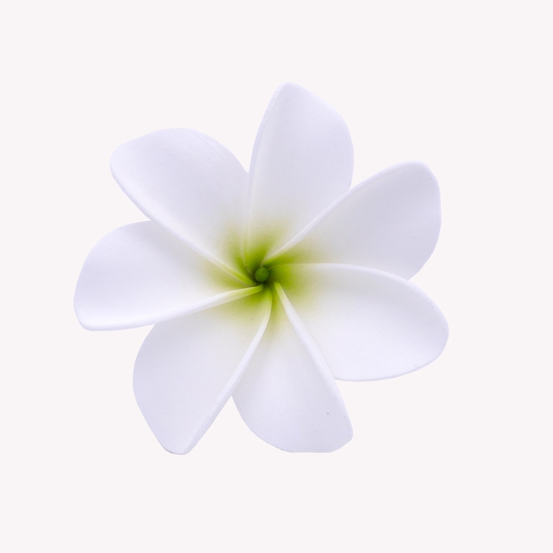 Flor de Tiaré en el Cabello Blanco Mahana