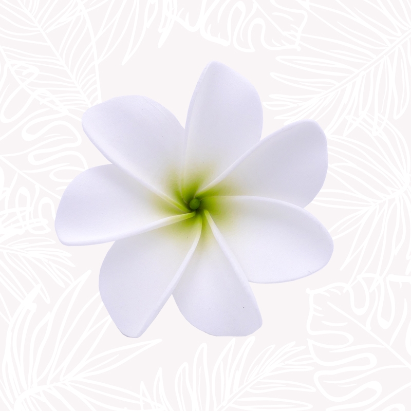 Blumen Haar Tiara Weiß