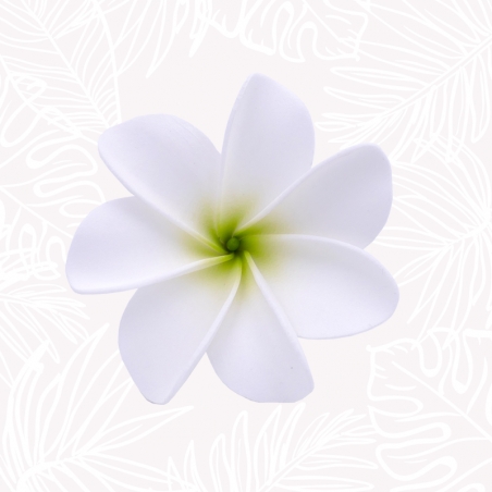 Blumen Haar Tiara Weiß