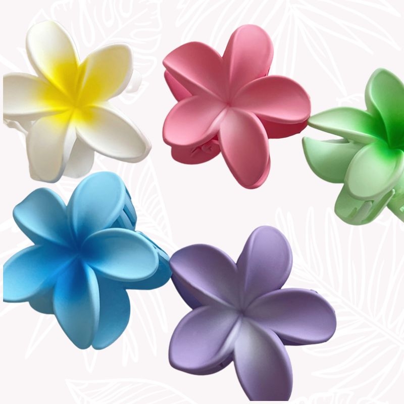 Lot de 5 grandes pinces à cheveux pour femme - Cheveux épais Lot de 5 grandes pinces à cheveux pour femme - Cheveux épais
