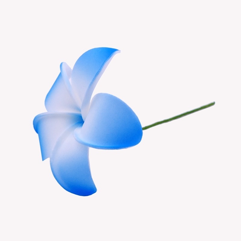 Flor de cabello de frangipani azul