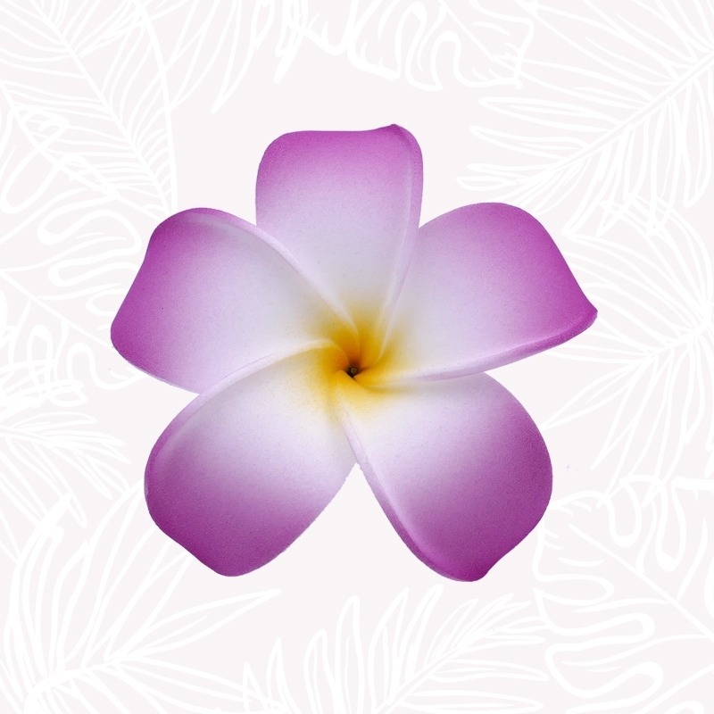 Flor violeta de plumeria para el cabello.