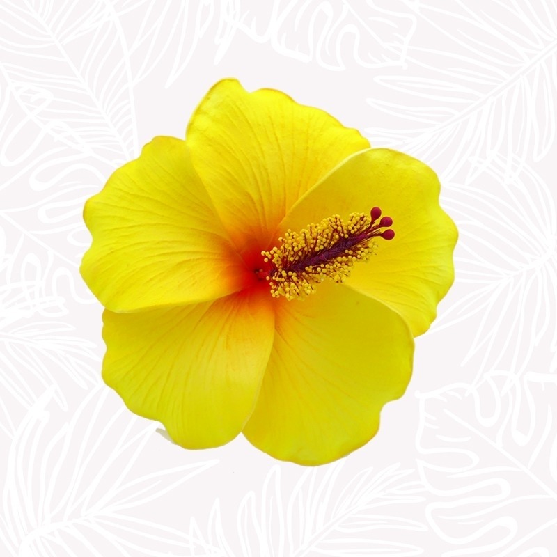 Flor de cabello de hibisco amarillo