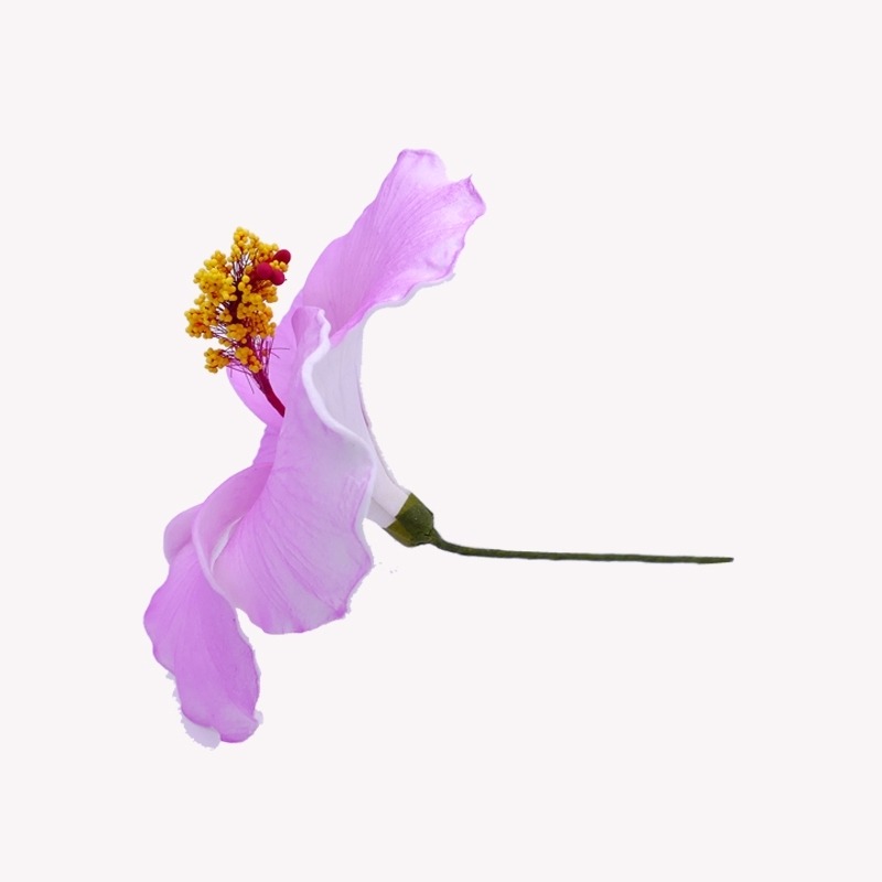 Fleur Cheveux Hibiscus Mauve