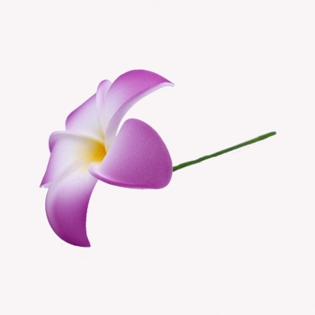 Flor violeta de plumeria para el cabello.