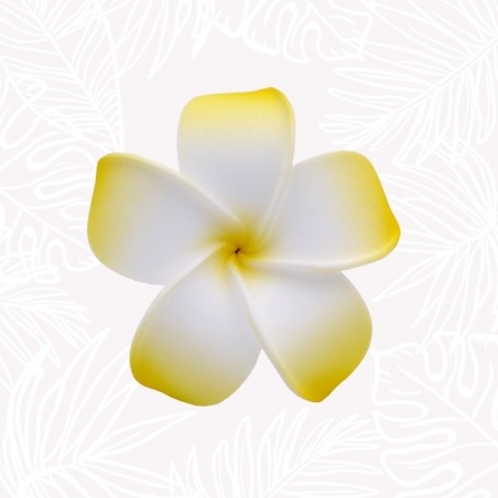 Blumen Haar Frangipani Gelb