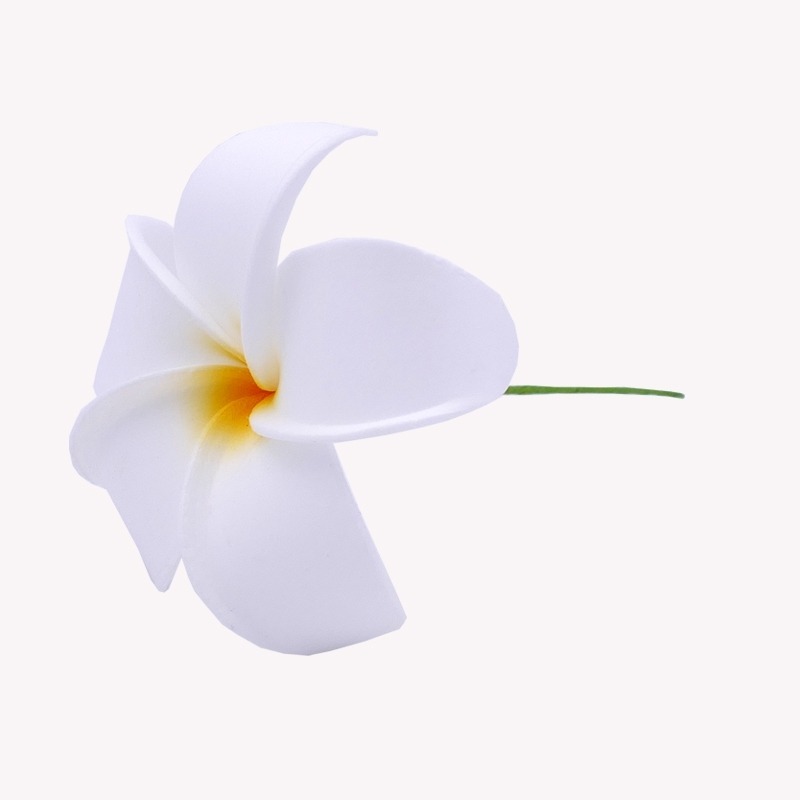 Blume Haare Weiße Frangipani-Stiel