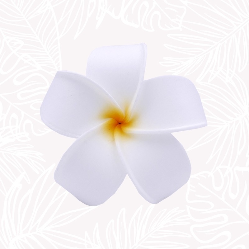 Weiße Frangipani-Blume im Haar