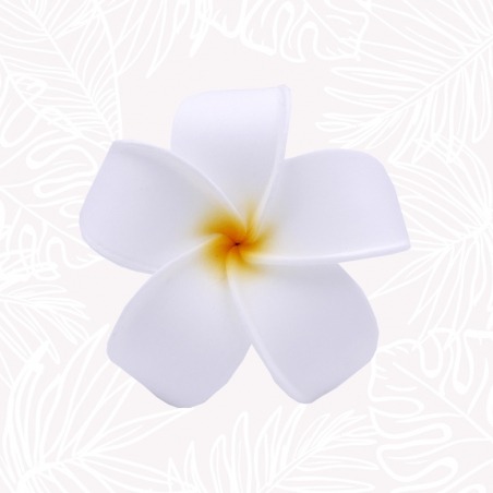Fleur Cheveux Frangipanier blanche