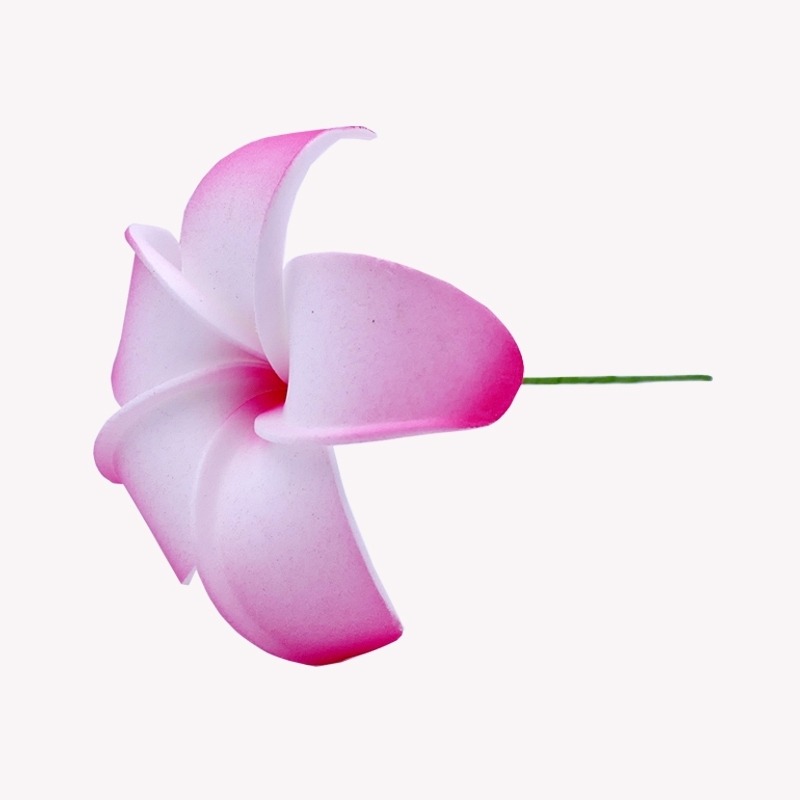 Flor de cabello de frangipani rosa y blanca.