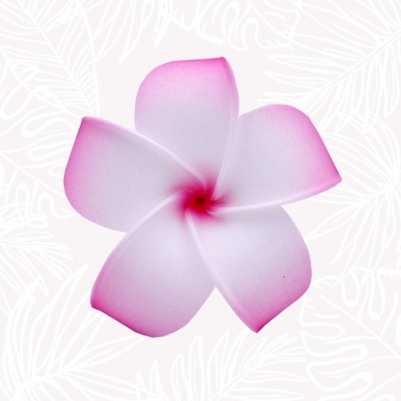 Blumen Haar Frangipani Pink und Weiß