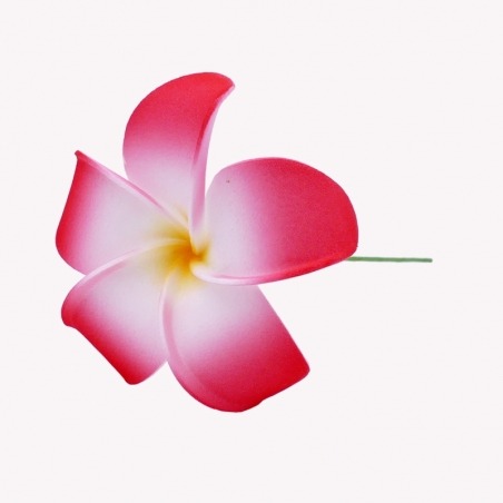 Flor de cabello de frangipani rojo con tallo.