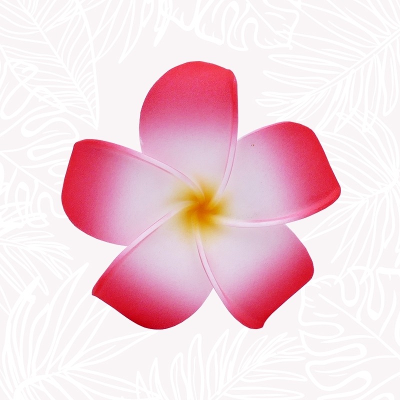 Flor de cabello de frangipani rojo.