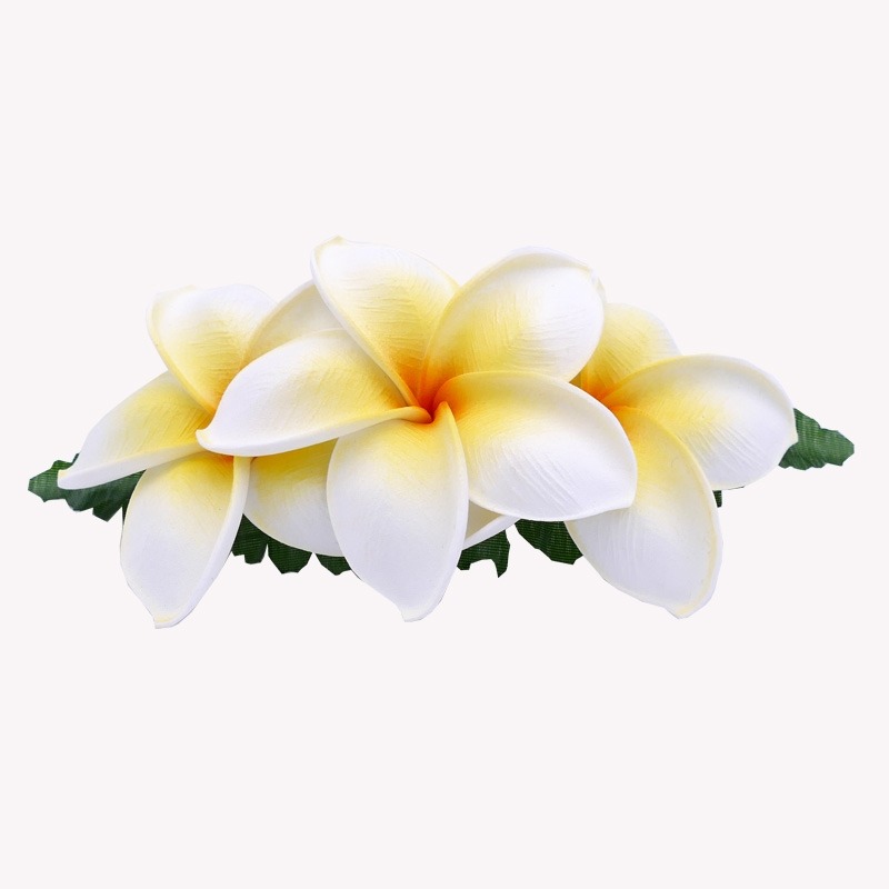 Haarspange mit weißen Frangipani-Blumen