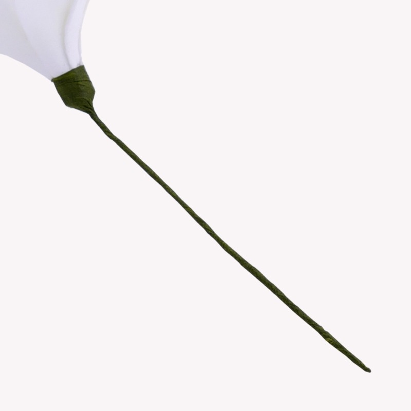 Tige fleur de tiaré