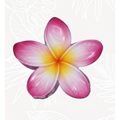 Pinces fleurs cheveux - Mahana 