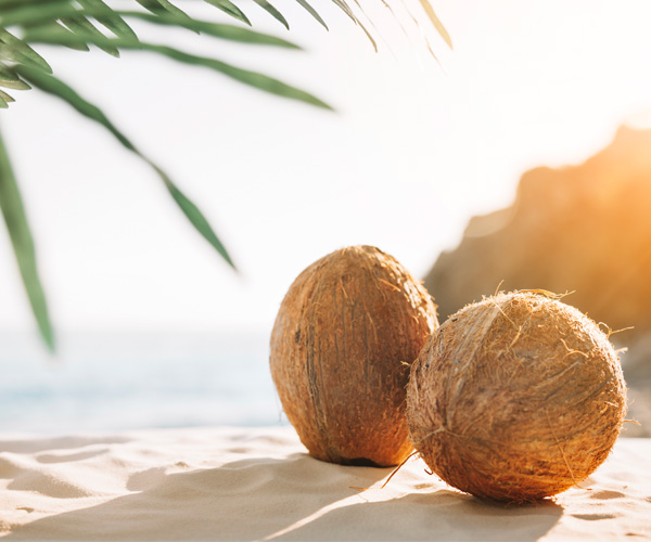 Noix de coco sur la plage