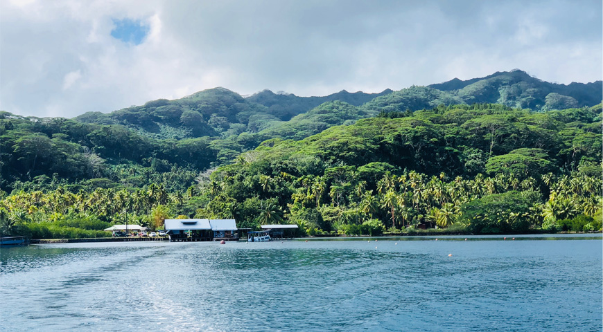 Perla de Tahiti